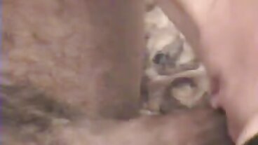 Action Natural film porno xxx gratuit Tits avec la chaude Stella Sedona de Team Skeet