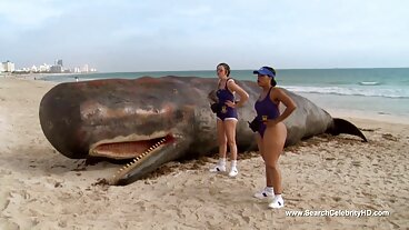 Cowgirl sexe porno film xxx avec la géniale Mia Sanz de SexMex