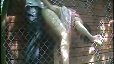 Sexe en levrette de Wankz regarder porno en streaming