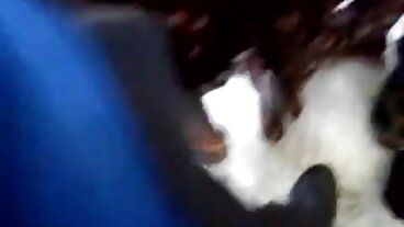 Film Natural Tits porno gratuit film complet avec la magnifique Gabbie Carter de SpyFam