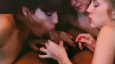 Cochon de levrette allongé avec la cornée Sydney Cole www video film porno de Dogfart Network